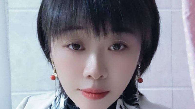 模板建站与定制开发：优劣势全解析
