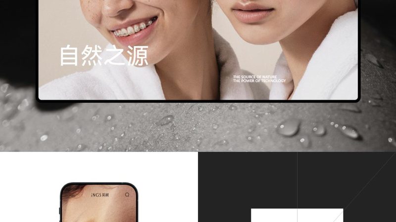 上海营销型网站建设公司案例解析：揭秘成功之道